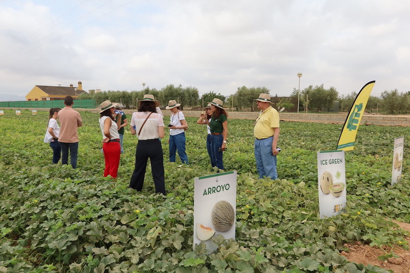 REVISTAFYH's tweet photo. @SemillasFito presenta su nuevo concepto de #melón Little Planet, el #cantaloup Marme y el #sello #Flavourite https://t.co/iFpaBelc0e #frutas #sandía #evento #FitoWeek https://t.co/xLYSHAMSwB