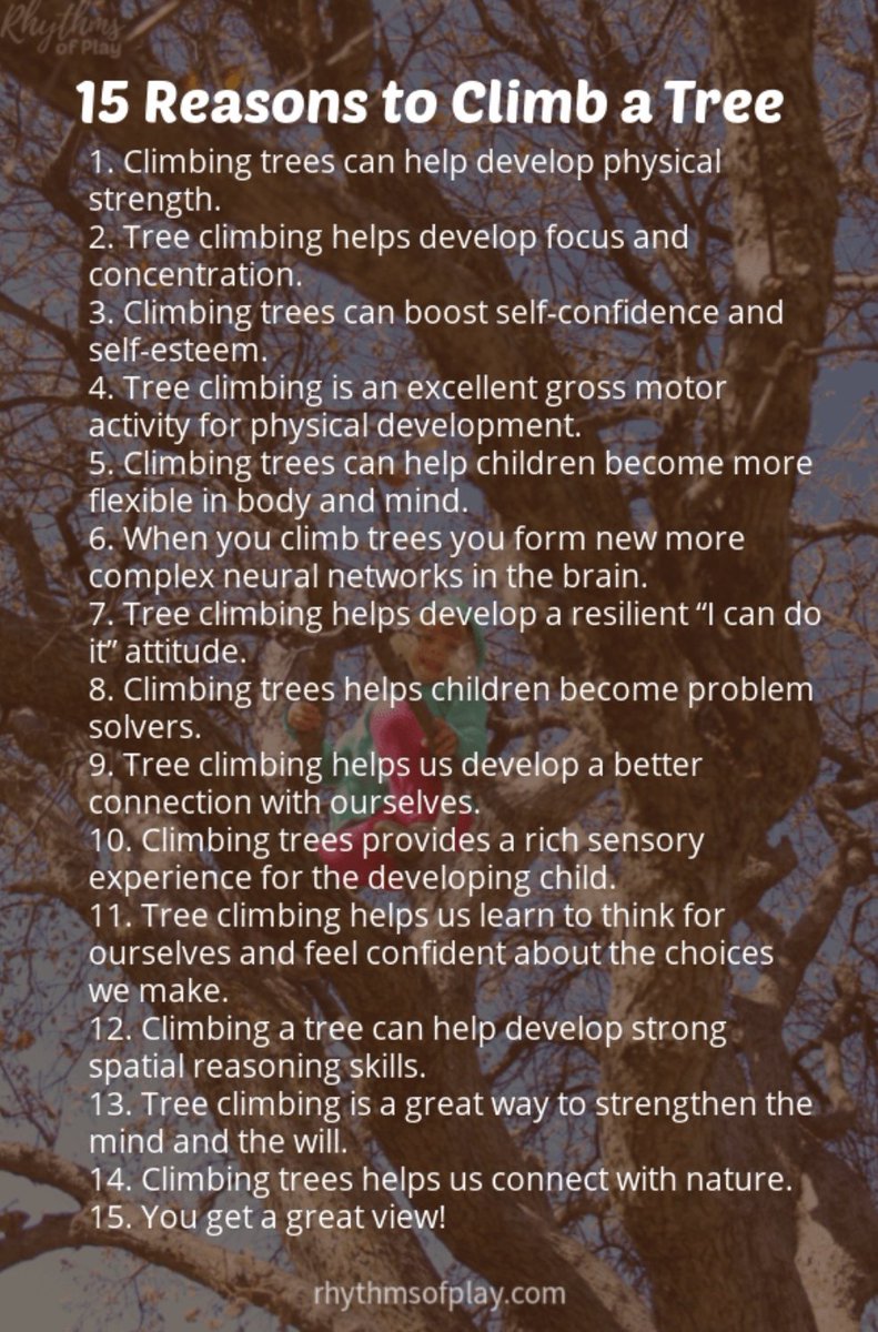 Lorrain05617625's tweet photo. How do you encourage your kids to engage with risky play like tree climbing?
π€ Let me have a think from my vantage point up a tree π. Even the dog had a go. @S2kph0t0graphy #modelthemodel #playistheway #playforall
#Outdoorplay #parenting #ChildDevelopment https://t.co/Pd73fTkp0G