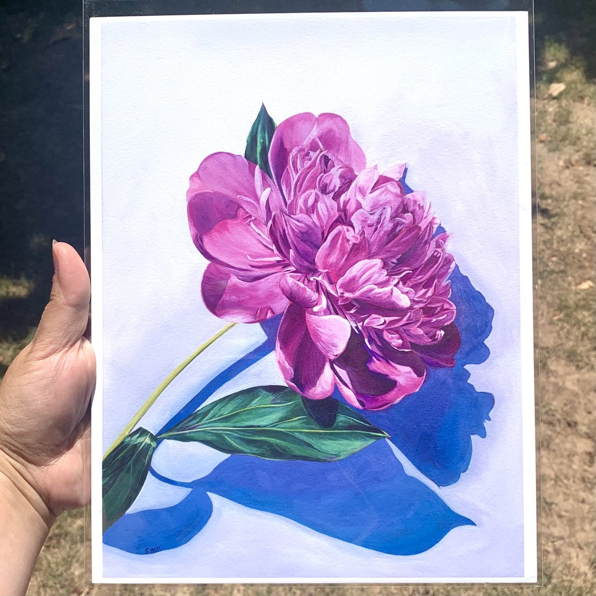 Stephanie tweet media