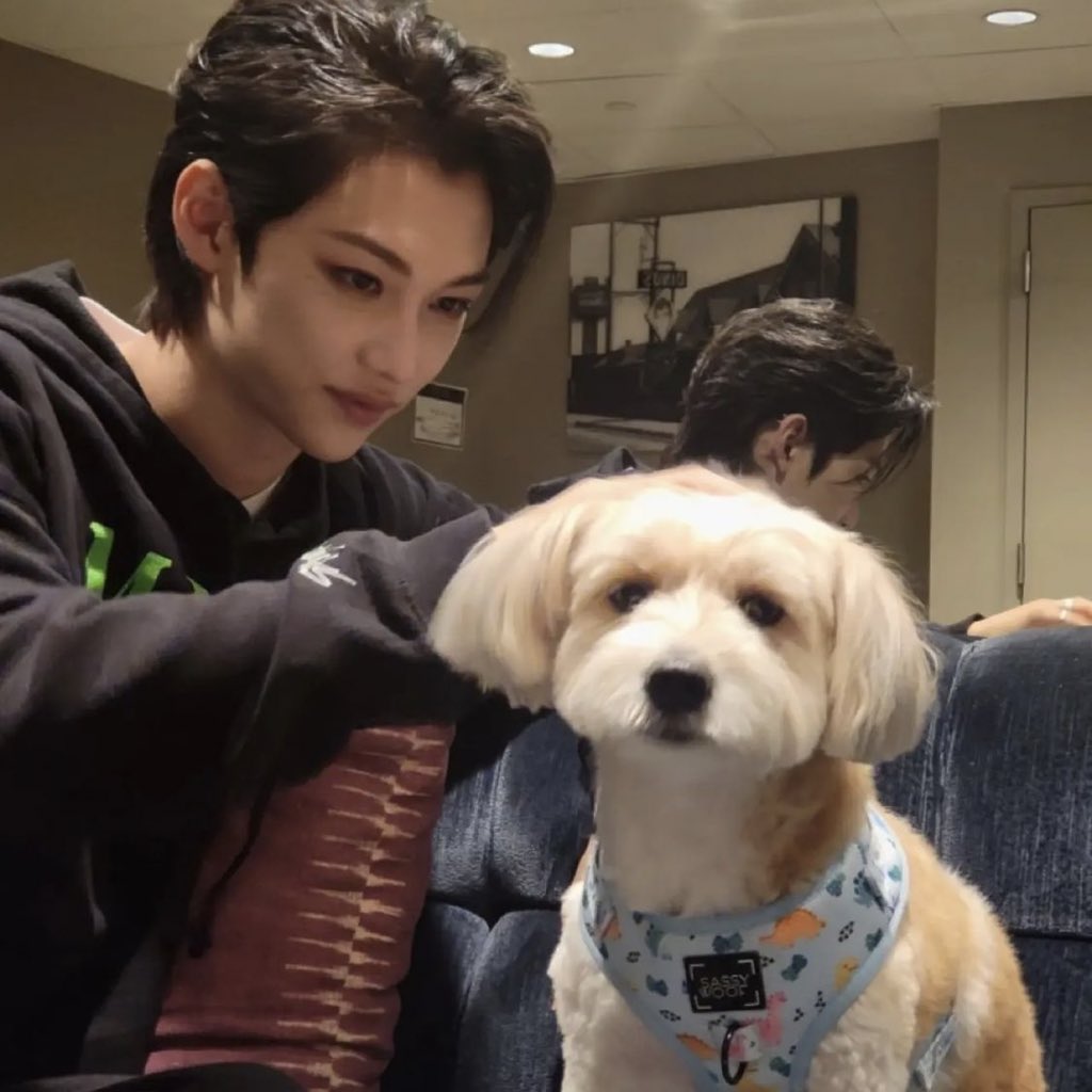 thinkerfeIix's tweet photo. oh how to be a puppy 😩😩 https://t.co/k4wYvuDS6k