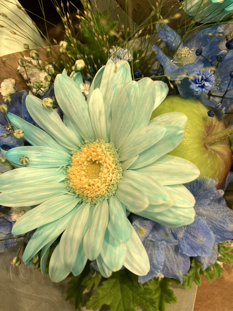 💫いずみ💫🌼 🈲👍リポストご本人のホームから必ず宜しくお願い致します🙇‍♀️ (@1113izumy) on Twitter photo 