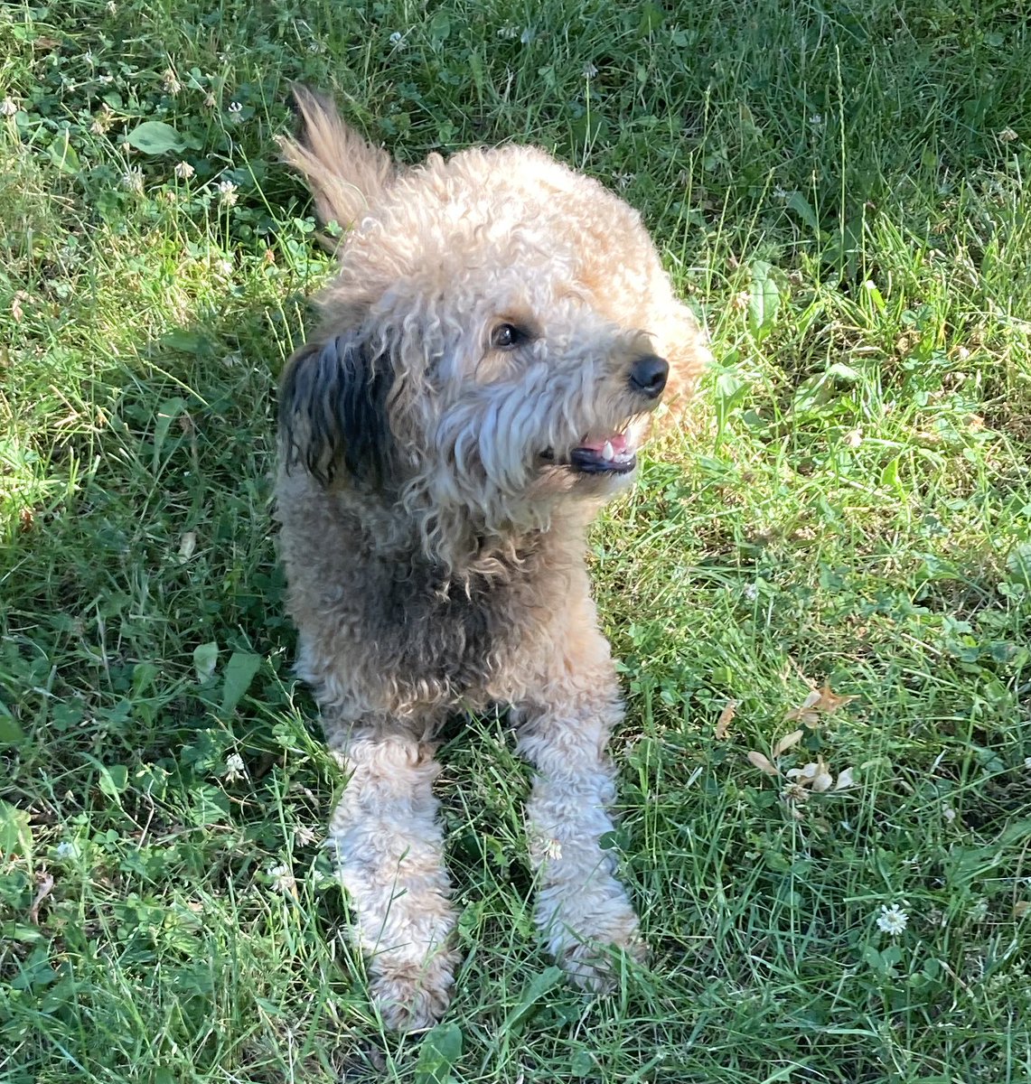 She doesn’t need a filter