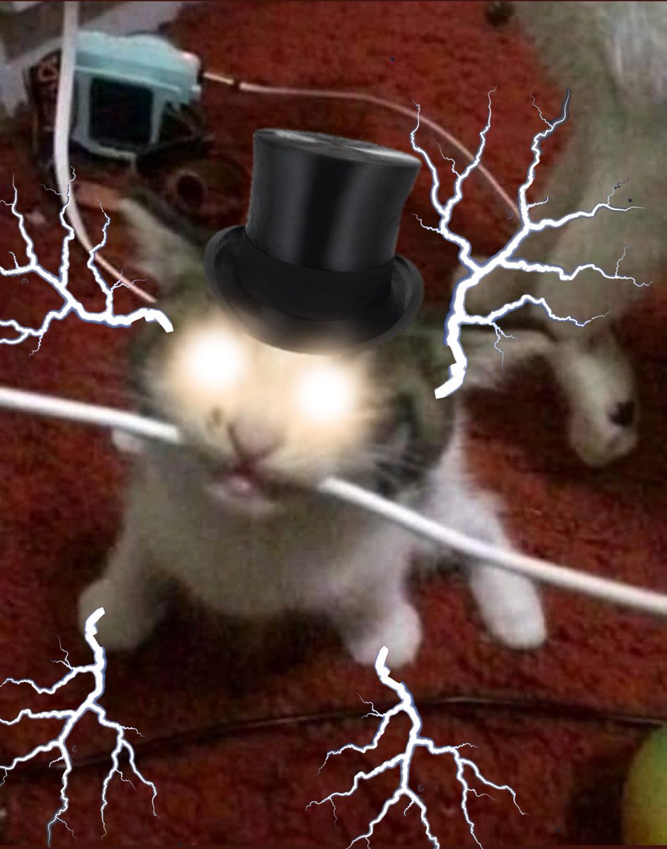 TophatON's tweet photo. @CATBRAINCELL You fool! It has awoken its final form! https://t.co/yxPXb087Wp