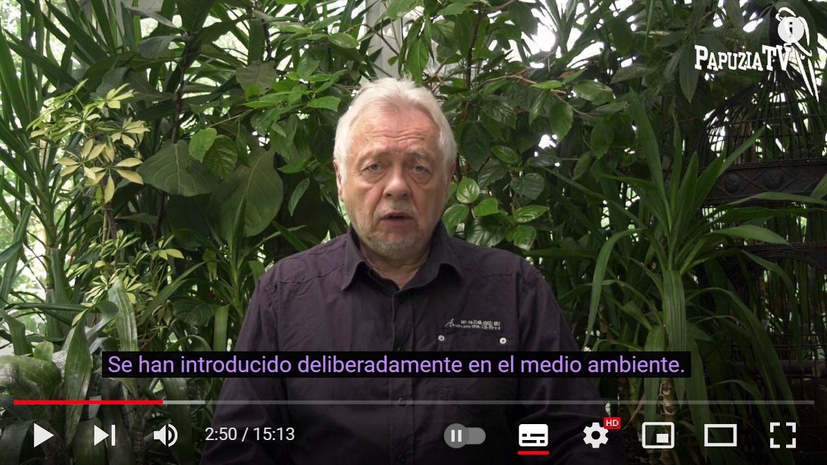 SOScotorras's tweet photo. En los ochenta, a las importaciones de cotorras a España le siguieron las sueltas masivas por excedente comercial. Su introducción en el medio ambiente fue deliberada y son nuestra responsabilidad. Nada invaden. #STOPExterminio #TratoÉticoYa #MaltratoAnimal #MaltratoCiudadano🦜🆘 https://t.co/lQk9hBDS8g