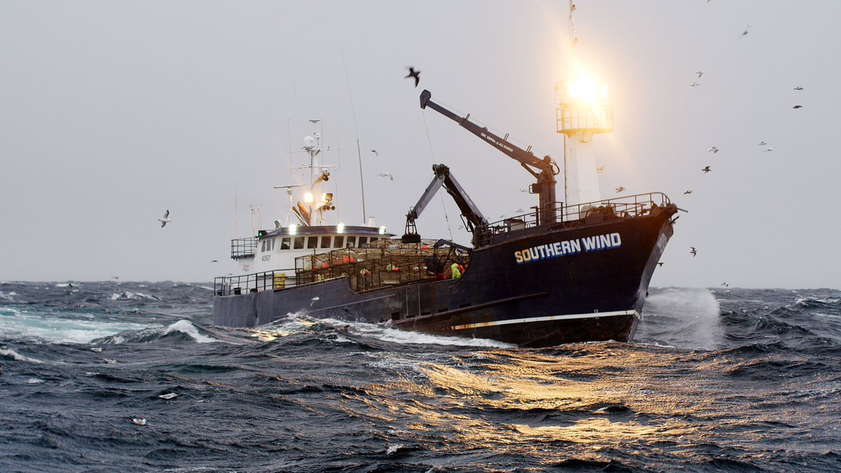 DeadliestCatch's tweet photo. Congratulations to the #DeadliestCatch cast and crew on not one but TWO #Emmy Nominations!  

Celebrate by watching the 300th episode tonight at 8p ET on @discovery and streaming on @discoveryplus. https://t.co/qsrwOOf0cu