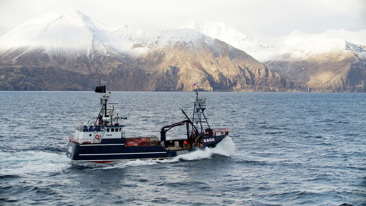 DeadliestCatch's tweet photo. Congratulations to the #DeadliestCatch cast and crew on not one but TWO #Emmy Nominations!  

Celebrate by watching the 300th episode tonight at 8p ET on @discovery and streaming on @discoveryplus. https://t.co/qsrwOOf0cu