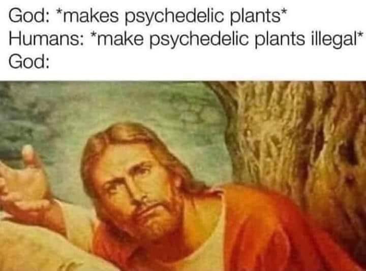 #psilocybin is trending for the first time in Twitter history so today seems like a good day to drop this one #NormalizePsilo #HowToChangeYourMind