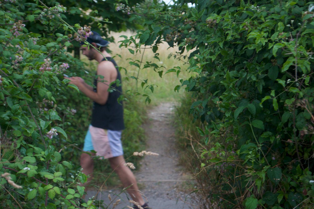 Martian Geeses tweet media