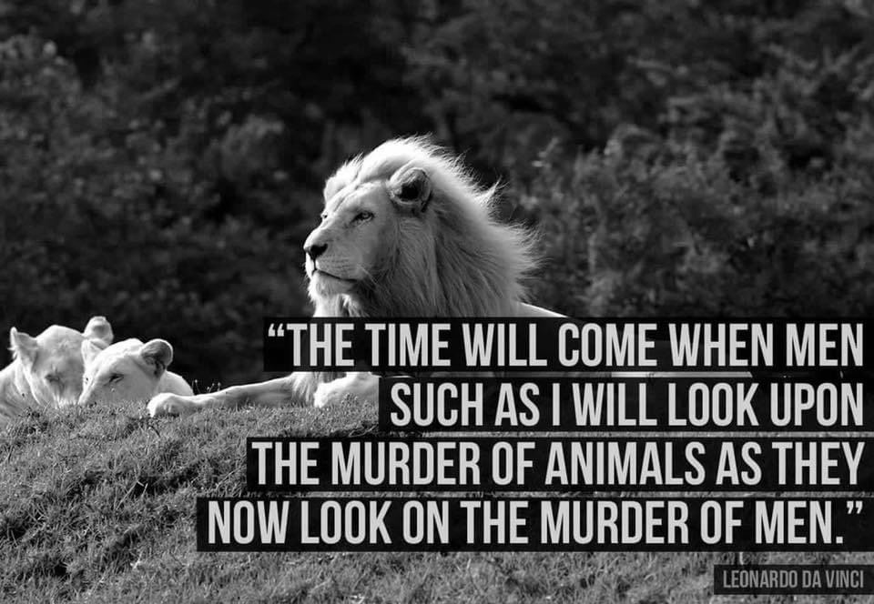 Nana15Vegan's tweet photo. @angie_karan #FuckHunters https://t.co/STgXnQr4wS