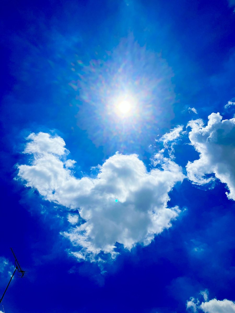 ♪。.:＊・゜

魂の歌くすぶっていた

照れ隠しの裏に忍ばせた確信犯の声

...♪*ﾟ

群衆の中に立って空を見れば

大切なものに気付いて狂おしくなる

優しい歌 忘れていた

誰かの為に

小さな火をくべるよな

愛する喜びに満ち溢れた歌

優しい歌✨Mr.Children

youtu.be/96P0YFo3pIk