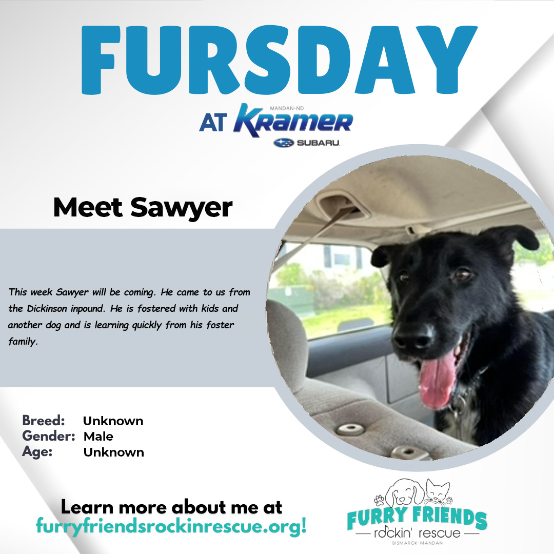 KramerAutomoti2's tweet image. @furryfriendsrockinrescue will be here  this 🐾 #FURsday 🐾 with a new adoptable dog. Make plans to stop by our sister location, #KramerSubaru and say hi to Sawyer! 😍

Come out and see us.
📍700 Old Red Trail
Mandan, ND 58554
☎️ (701) 490-8874