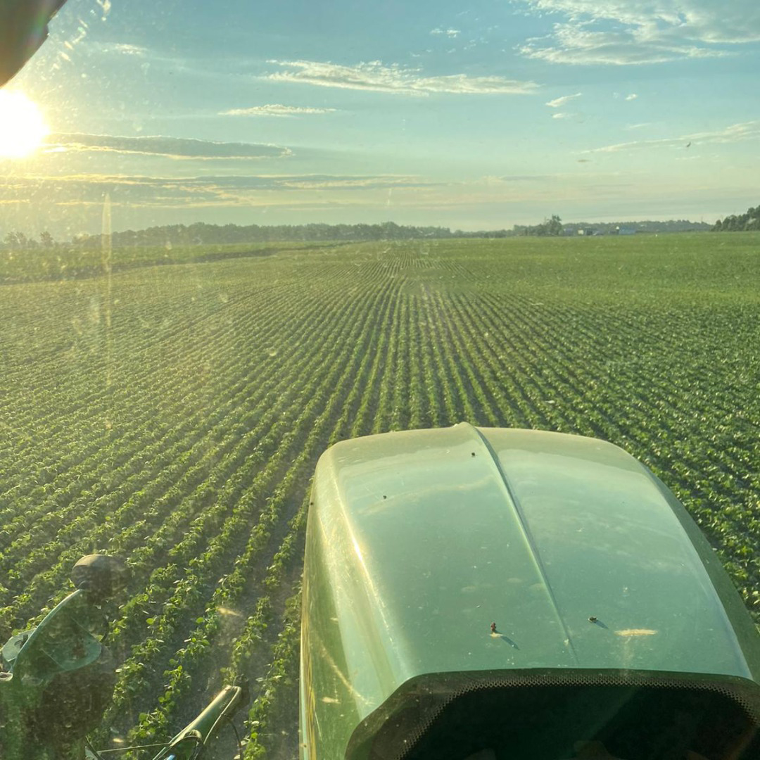 Are you wanting more growth in your fields? Try #F18Max! ALPINE F18 Max is a new and improved foliar nutritional product for ALL crops. Check out our website for more info! #Foliar #GoBlueFor22

alpinepfl.com/product/alpine…