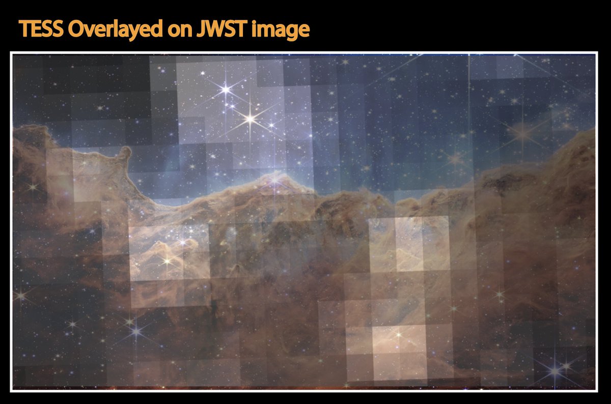 TESS Science Support Center tweet media