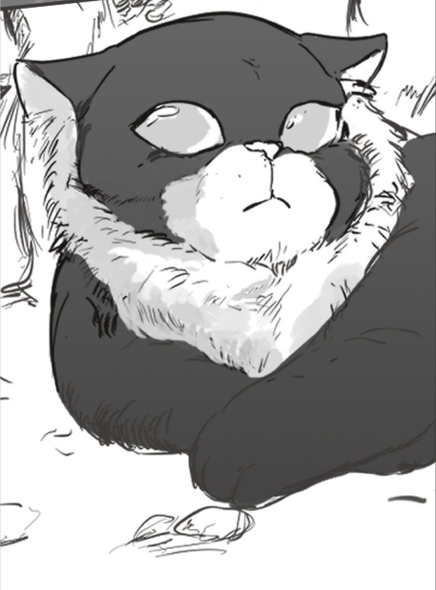 ネコティアン 
