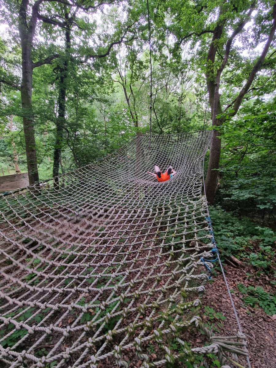 Miss Toward tweet media