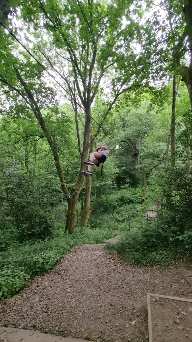 Miss Toward tweet media