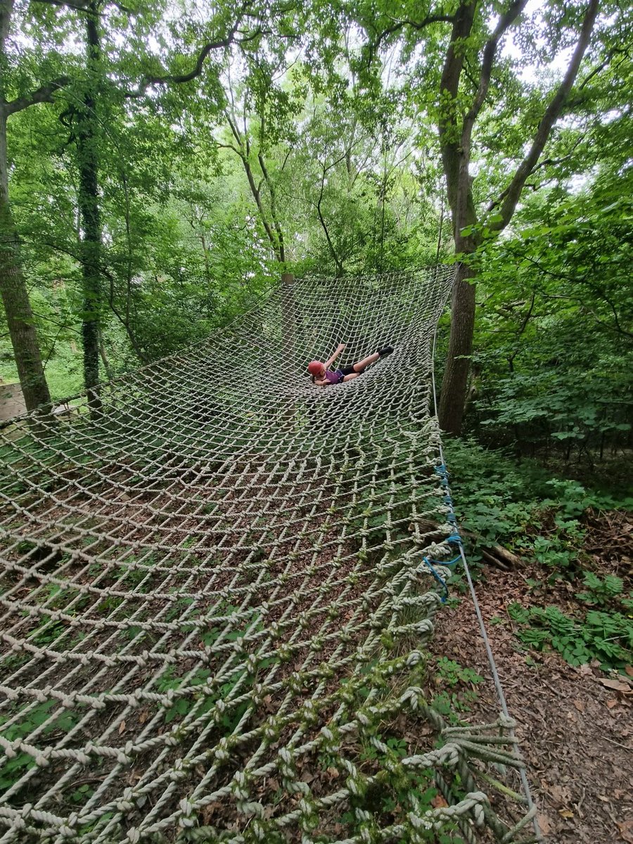 Miss Toward tweet media