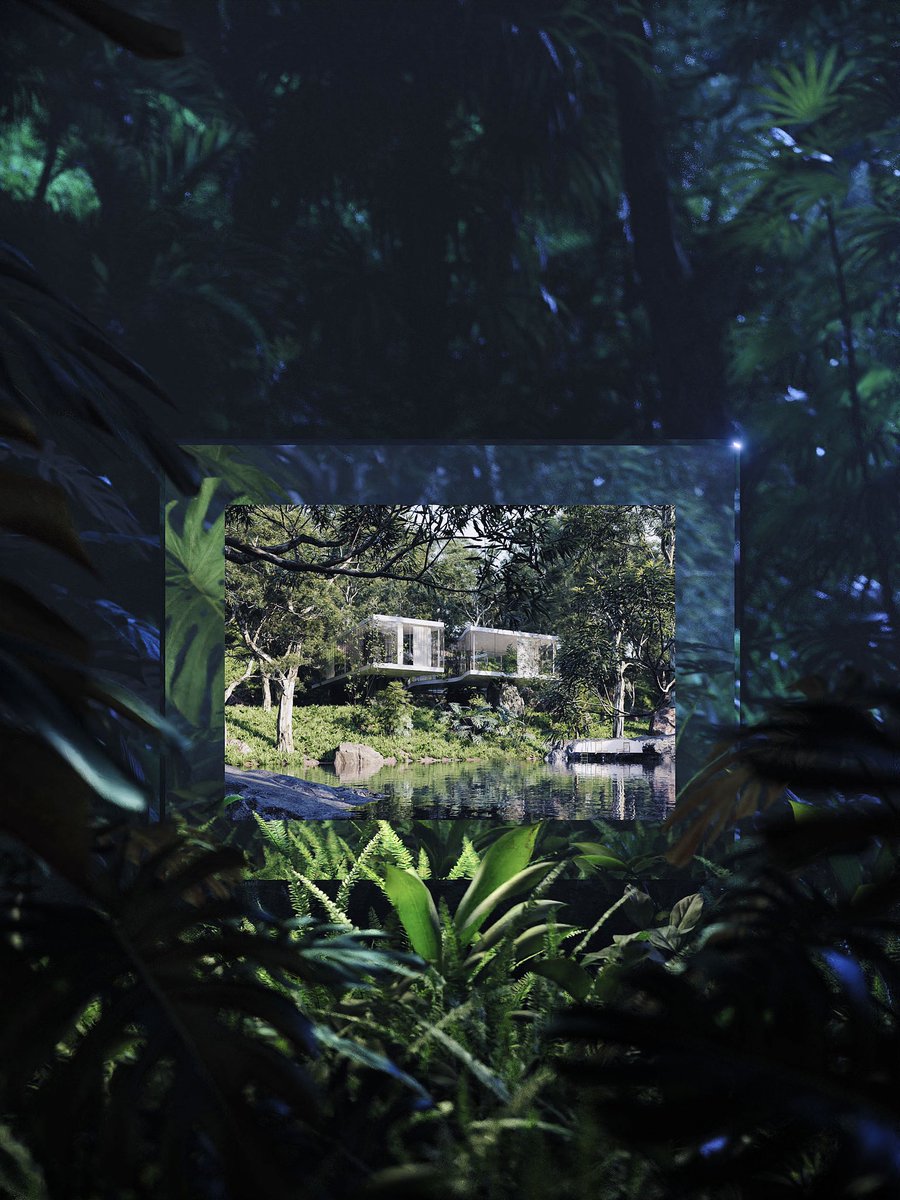 NicholasPreaud's tweet photo. It is Portfolio day again 🌱 https://t.co/50Xv12n9S7