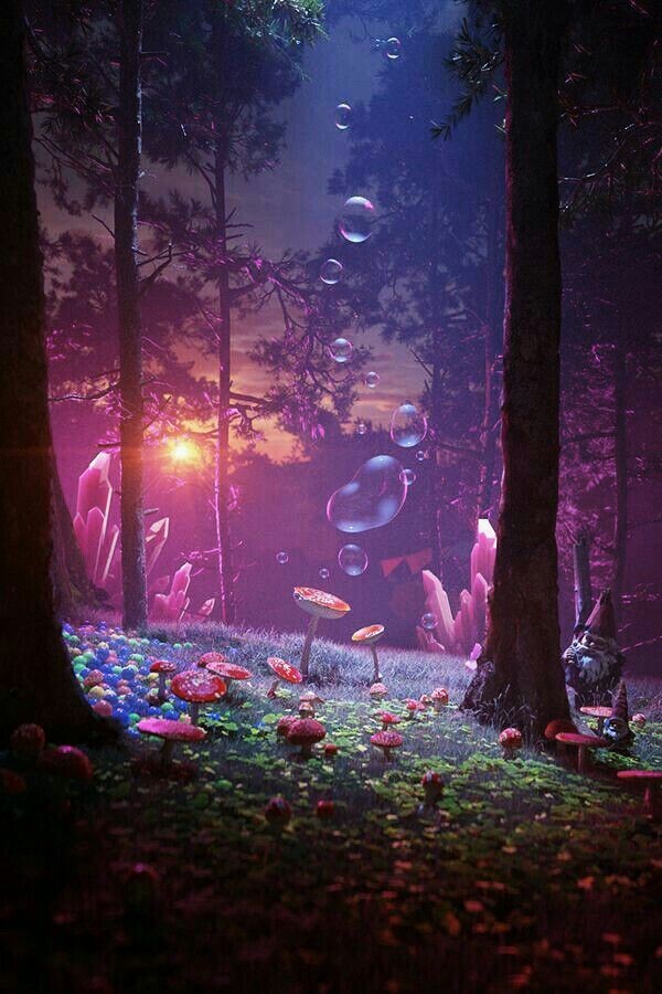 JPeveze's tweet photo. 🎁 FREE 1 + 4 Bonus #NFTGiveaways 🎁

🌲 🧙🏿‍♂️ 🫧  Through the Enchanted Forest  🫧 🧙🏿‍♂️ 🌲
      
🍄Follow Me @TiagoBaltazar01 &amp; @JPeveze
🍄Like &amp; Retweet
🍄Drop your #ETH wallet address
🍄Make a post showing your prize

#NFTGiveaway #NFTCollection #personalmint #1Winners #4NFTBonus https://t.co/atfLPJst3i