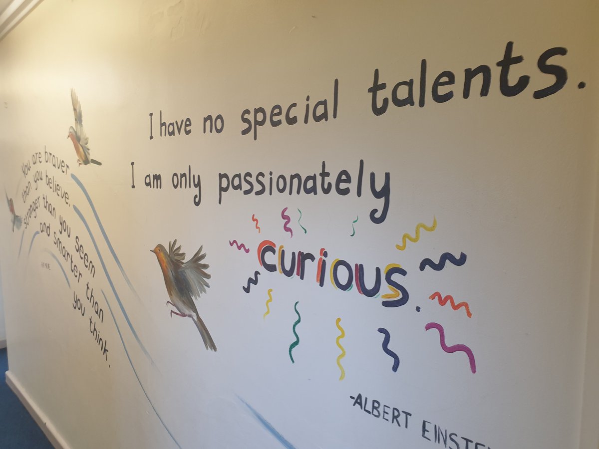 NewchurchCP's tweet photo. Some more of the inspiring murals created for our Newchurch Robins by the artist Isobel Shore. @maejemison #Preparingtofly https://t.co/zAxRjypfJD