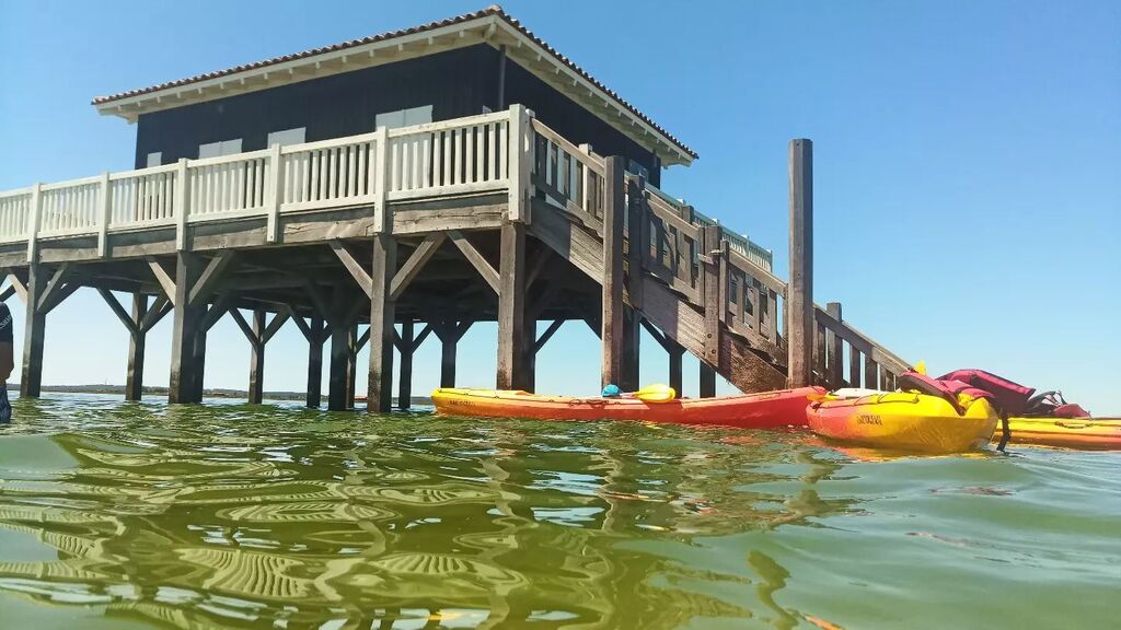 YakOcean's tweet photo. https://t.co/oRbp6f0vo3