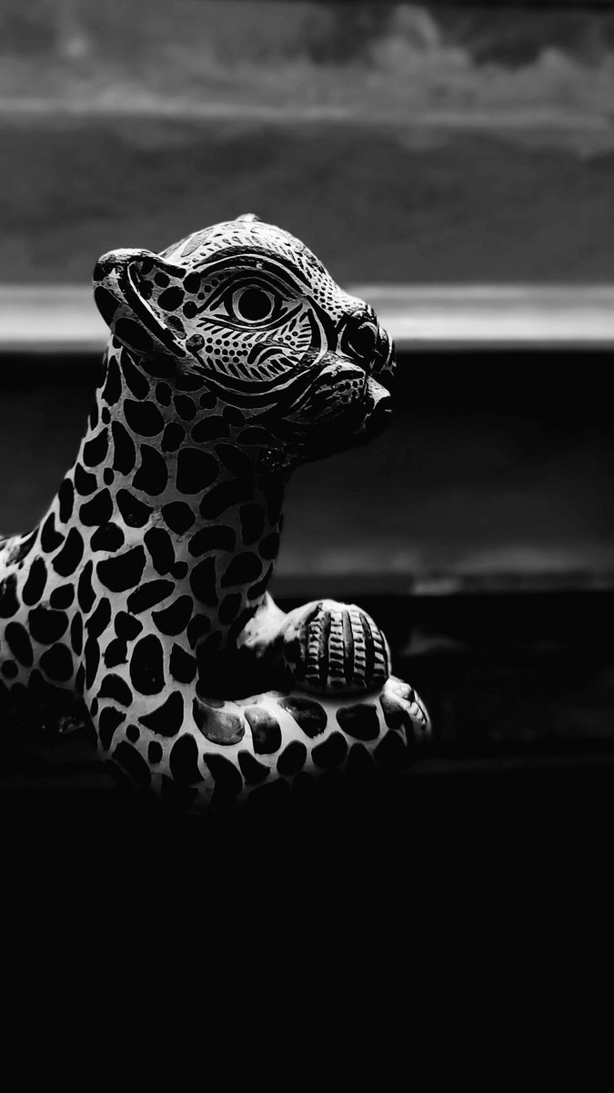 pol_reyes's tweet photo. Maybe you're just out of your mind
#blackandwhite #blackandwhitephotography #blancoynegro #photography #photo #Mexico #aesthetic #aesthetics #art #ArtistOnTwitter #beauty #beautiful #samsung #inside # https://t.co/x9lAhD3zfK