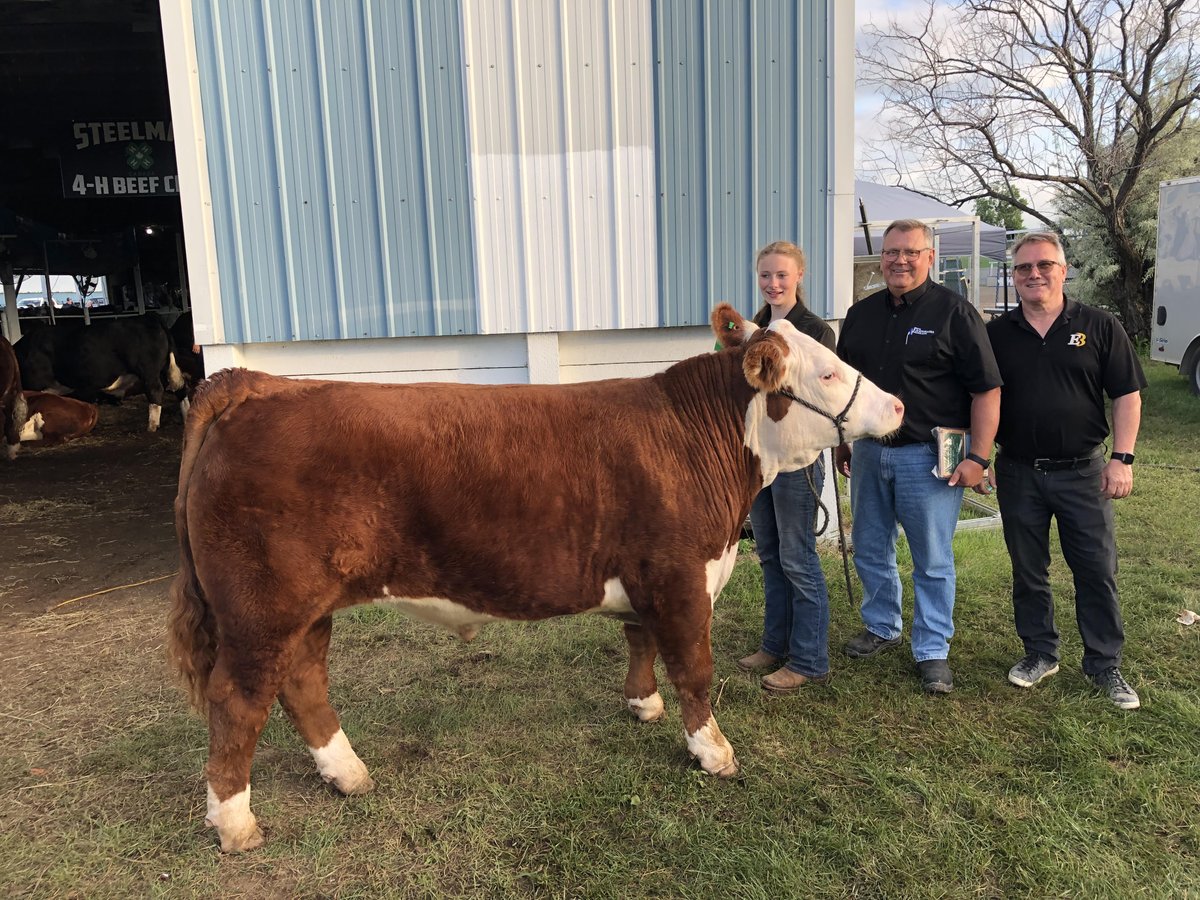 E. Bourassa &amp; Sons has been busy attending 4H Sales across southern Sask. 

We walked away from each sale impressed with the young leaders. We are proud to support &amp; stand behind all our local 4H Clubs. 

This year Bourassa's purchased 13 steers totalling just over $51,000! 🎉