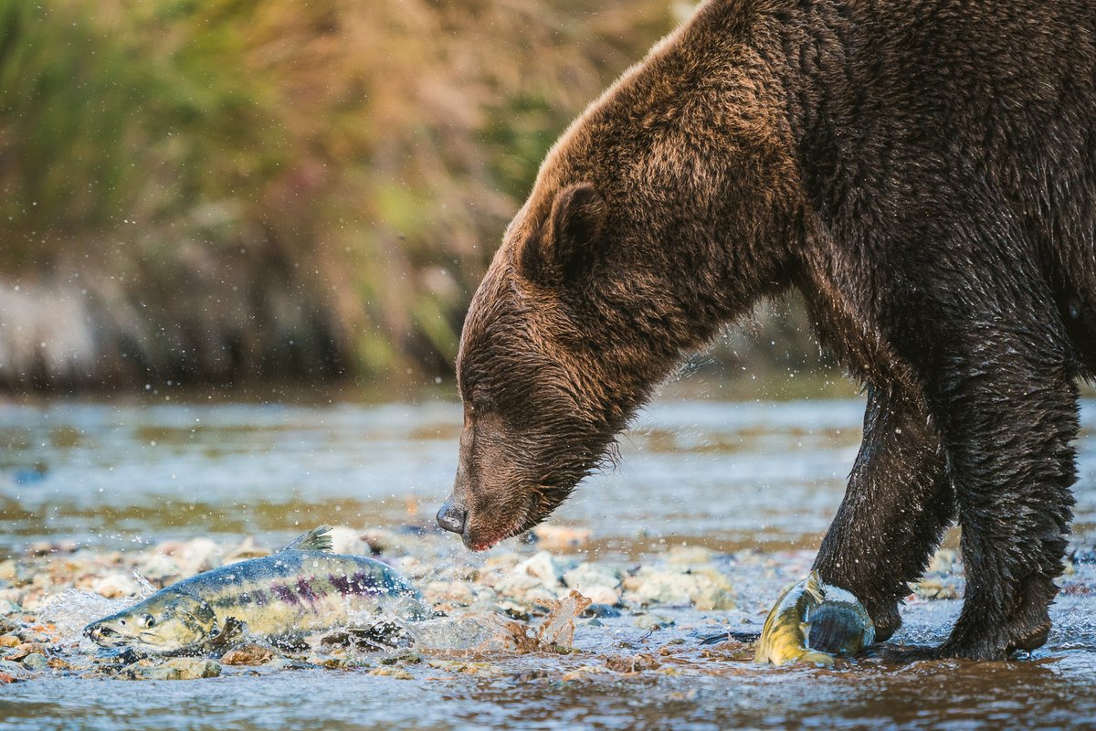 Wuda 📷 🎨 tweet media