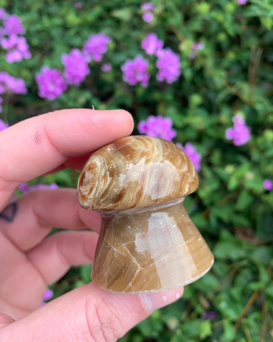 casswraps's tweet photo. THE LAST CHOCOLATE CALCITE MUSHIE 🍄🍫 if anyone wants to claim for $8 plus shipping DM me 😋 https://t.co/J15YxWJnoV