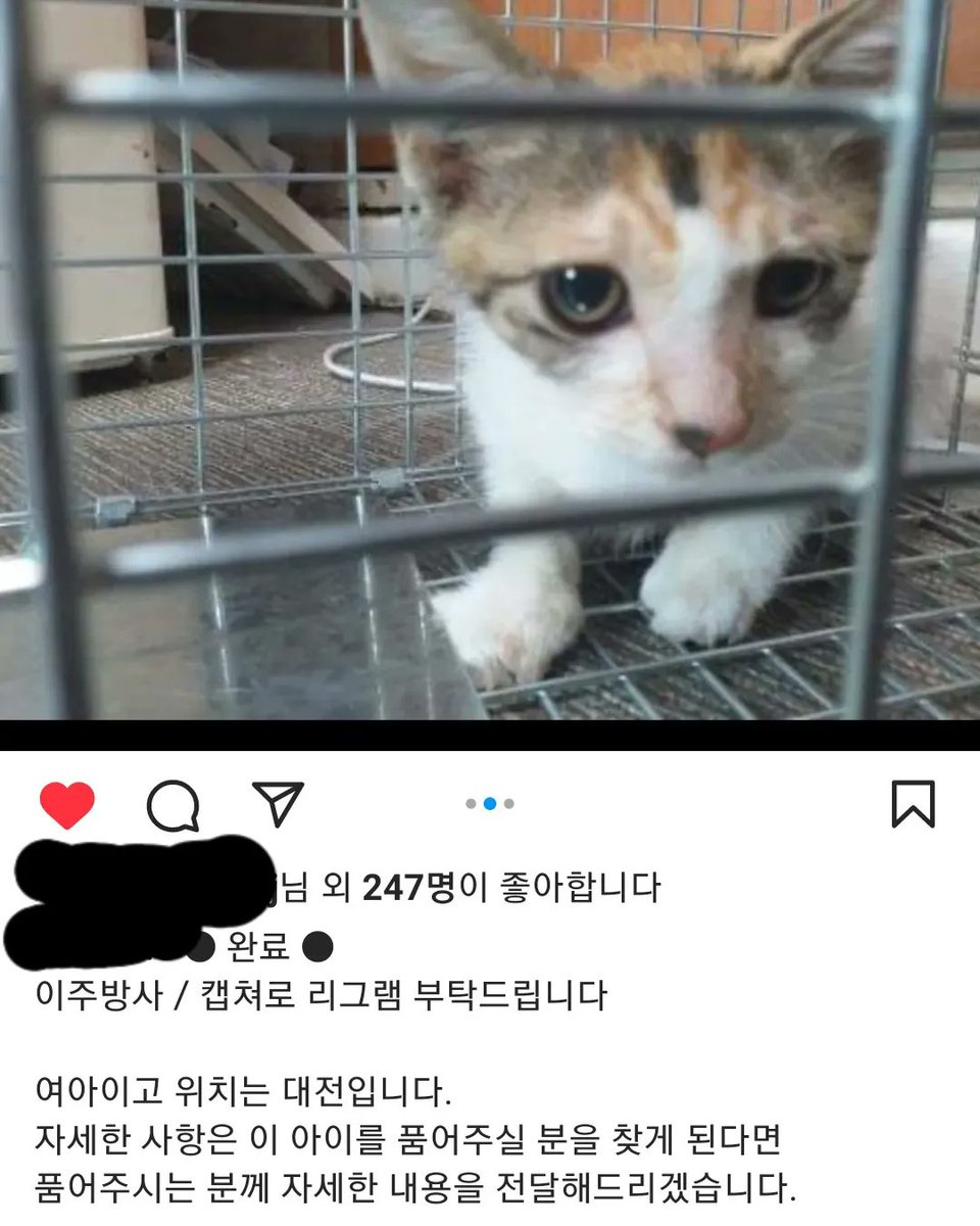 mir__ray's tweet photo. 한동안 대전에서 불법이주방사 시키려고 틀설치하는 사람때문에 시끌시끌😡
어제 요아이가 인스타피드에 올라왔고 그사람이 잡은아이ㅠ https://t.co/AWjHTDkNdG
