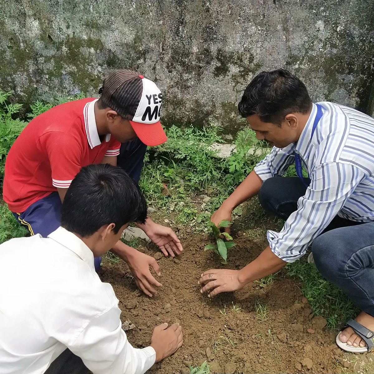 *GHSS कोटला संतौर में  प्रधानाध्यापक श्री ज्ञानेंद्र कुंमार व छात्रों के सहयोग से राष्ट्रीय पुरानी पेंशन बहली संयुक्त मोर्चा (#NOPRUF)के द्वारा आज 12 जुलाई को   मध्यांतर में एक वृक्ष पेंशन के नाम कार्यक्रम के तहत वृक्षारोपण*
*पेंशन सरकारी सेवको के बुढ़ापे का सम्मान है