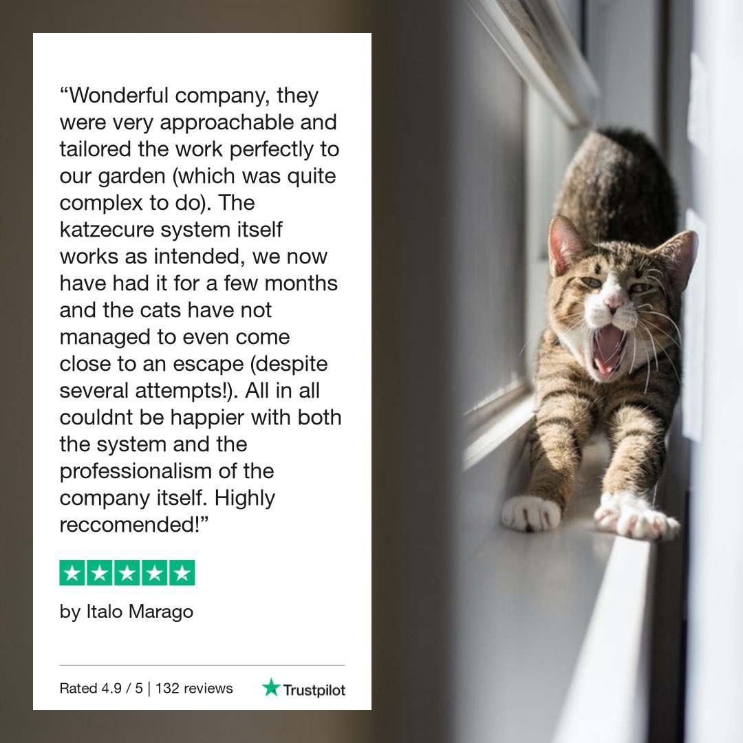 katzecure's tweet photo. 😺
https://t.co/lGwfjLBpZ7

*******************************
#katzecure #catfencing #CatsOfTwitter #cats #ilovecats #catio #CatsLover https://t.co/JnVZWCj9RU