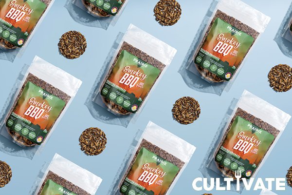 Insects such as crickets may not be the first thing that comes to mind when thinking of environmentally friendly food, but they are becoming an increasingly popular and sustainable source of protein. Read more on our CULTIVATE blog: ow.ly/o5Hz50JUbbi
foodbeveragemb.ca/cultivate