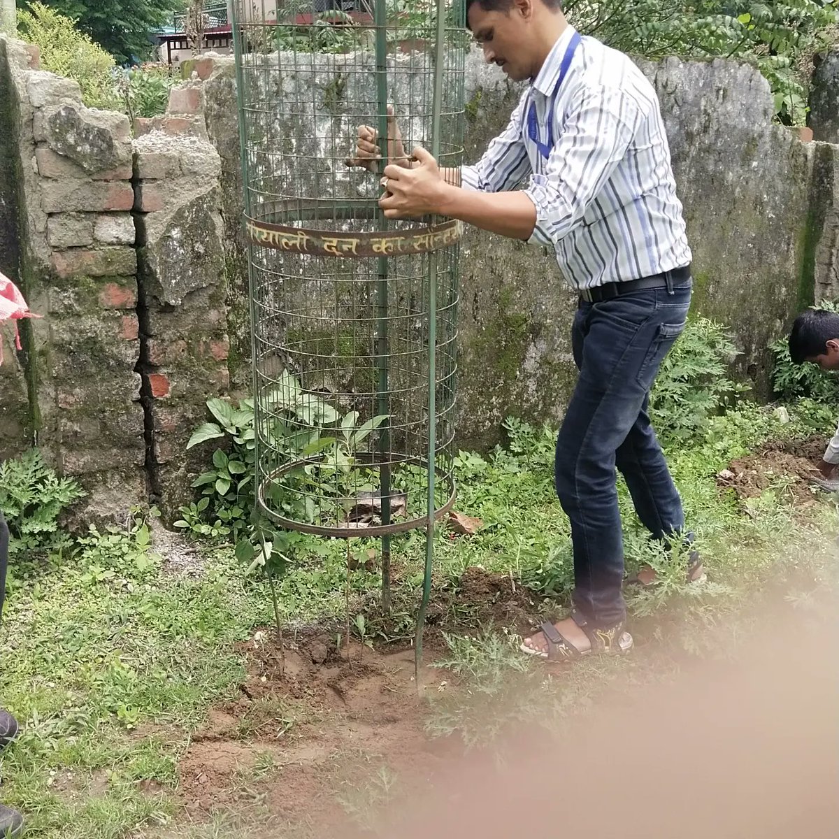 (#NOPRUF)के द्वारा आज 12 जुलाई को    एक वृक्ष पेंशन के नाम कार्यक्रम के तहत वृक्षारोपण*
*पेंशन सरकारी सेवको के बुढ़ापे का सम्मान है 
<a href="/PMOIndia/">PMO India</a> 
<a href="/ukcmo/">CM Office Uttarakhand</a>
<a href="/bprawatNOPRUF/">B P Singh Rawat (NOPRUF)</a>