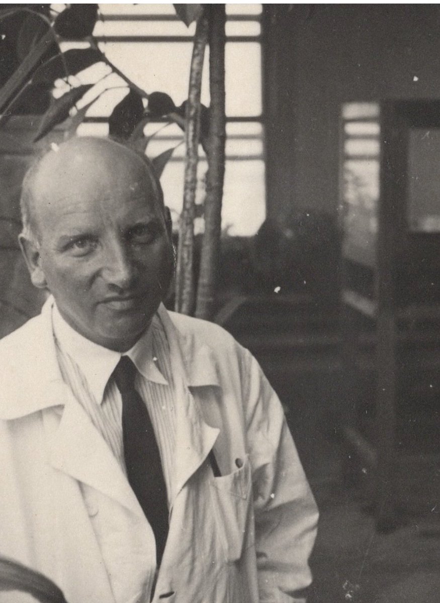 Daniela F Eisenstein tweet media