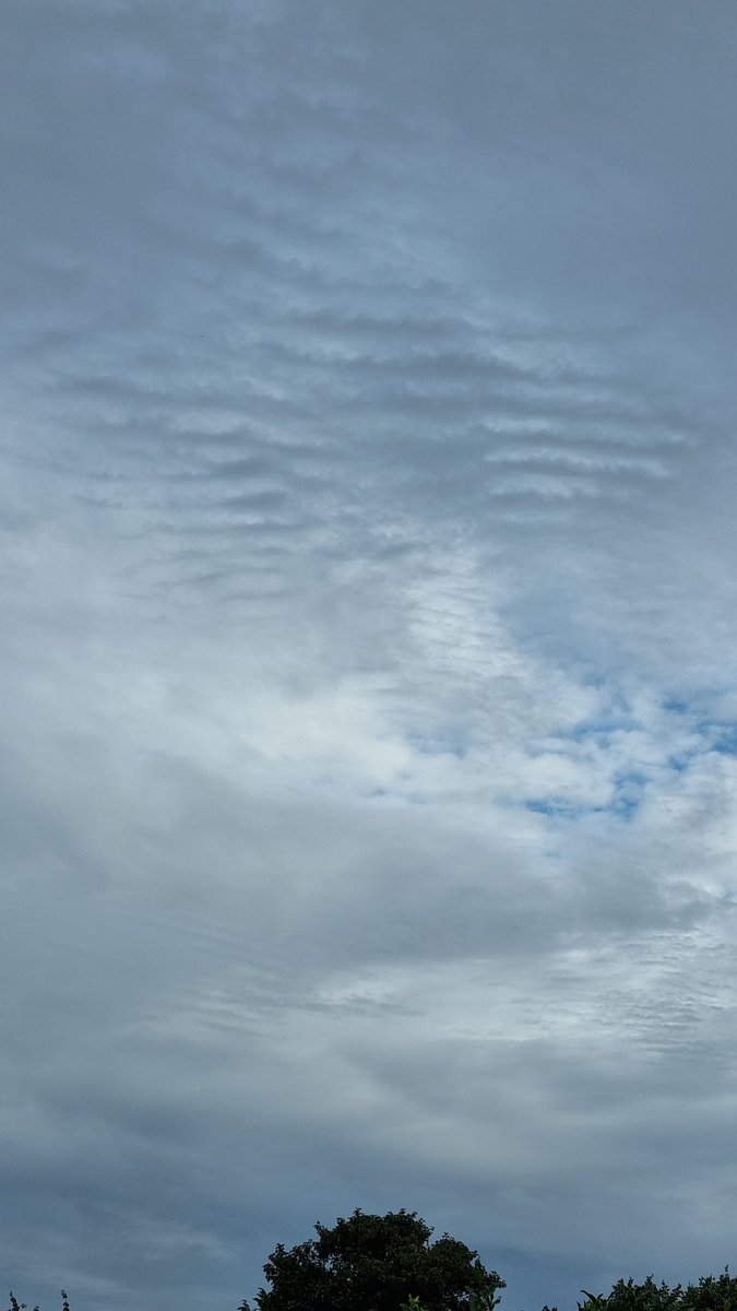 Jo #bemoregremlin tweet media