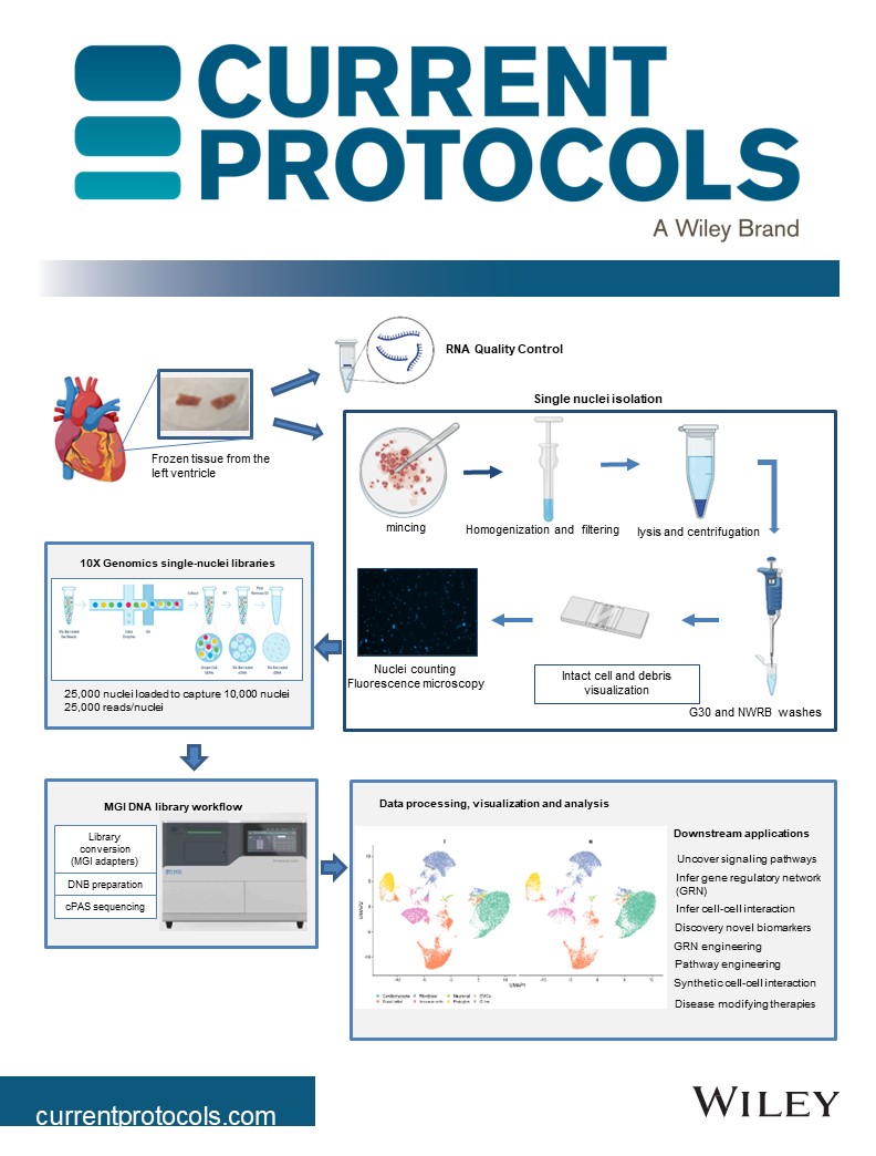 Leili_Rohani's tweet photo. Our baby single nuclei RNAseq paper is out! could not have a better team working on this! Huge thanks to @sina_safa @DrLaksman @LGMartelotto for their support! the great effort between @VanProstateCtr &amp; @HLIStPauls! Great job everyone! https://t.co/F0IhELdIi9
@UBCDoM @SBME_UBC https://t.co/h4zOaKKFEA