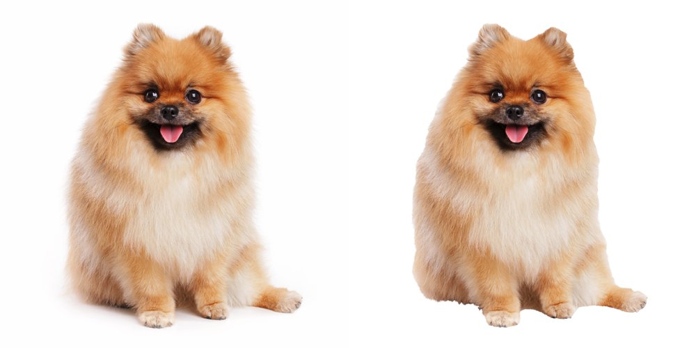 Best clipping path &amp; masking services, please contact :

#clippingpath #backgroundremove #whitebackground #changebackground #cutoutbackground #removebackground #photoediting #hairmasking 
fiverr.com/share/VkZA7m