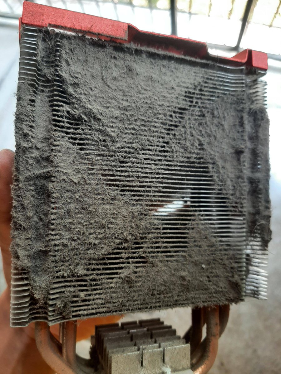 ZotacCup's tweet image. Remember, it's a heatsink...not a filter 🤧

📷 reddit: u/swagatopatra

#Cleanit #Dirty #Air #Tech #PcHardware #PcComponents
