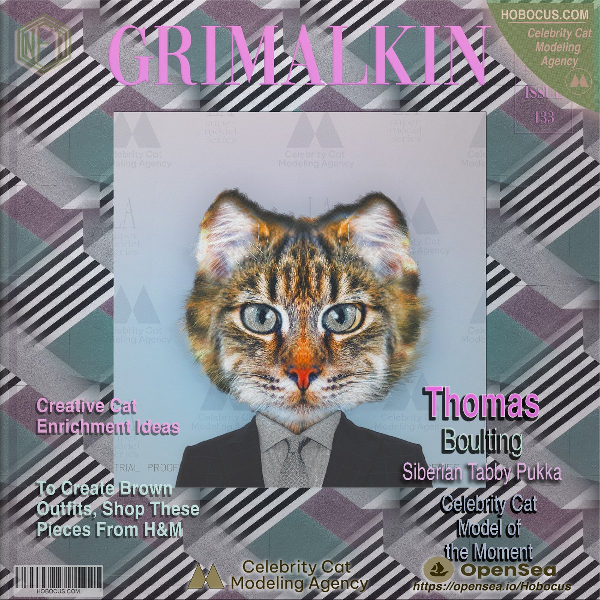 "Celebrity Cat Modeling Agency - represents a broad range of talent from fashion and lifestyle models to theatrical and film cats.

opensea.io/collection/cel…
hobocus.com

#OpenSeaNFT  
#psychedelicart
#trippyart   
#nftcollectors 
 #NFTProject"