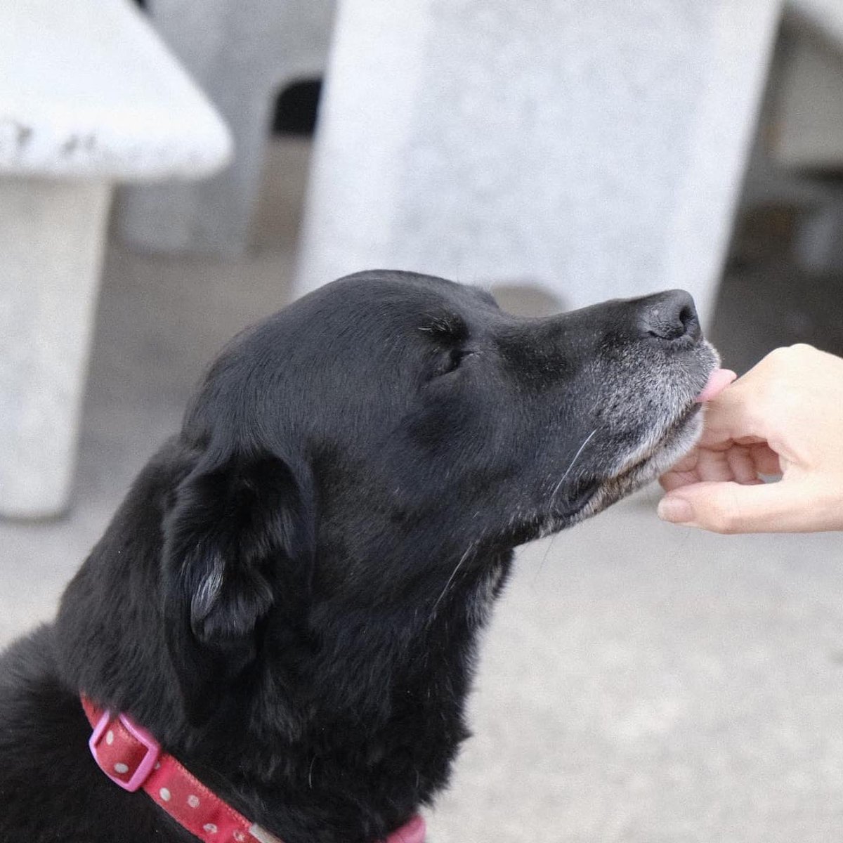 Catherine Mangan 🇮🇪🇺🇦 tweet media