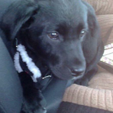 Catherine Mangan 🇮🇪🇺🇦 tweet media