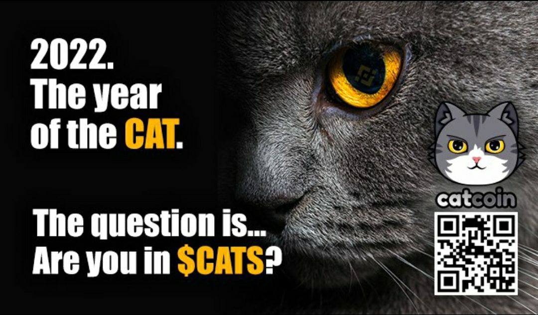 MehdiBa1993's tweet photo. @gordongekko And what's your idea about #Catcoin ?
#Catsforvets
@catcoin https://t.co/uKYrRF9msc