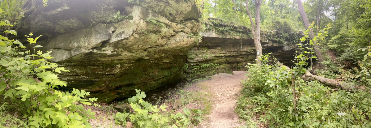 NateEppink's tweet photo. Two looks at Princess Ledges Nature Preserve in Brunswick Hills Township, Medina County #ohio #parks #trails #ledges https://t.co/5qfeGylTin