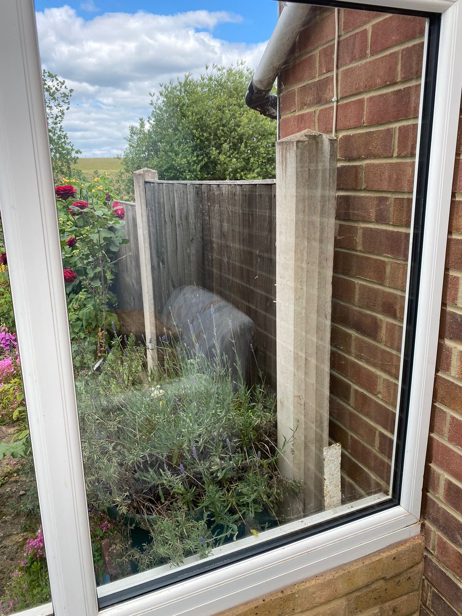 mistyglazing's tweet photo. We simply fix Misty Windows!
#mistywindows #misteddoubleglazing #cloudydoubleglazing https://t.co/YjCAzndCPT