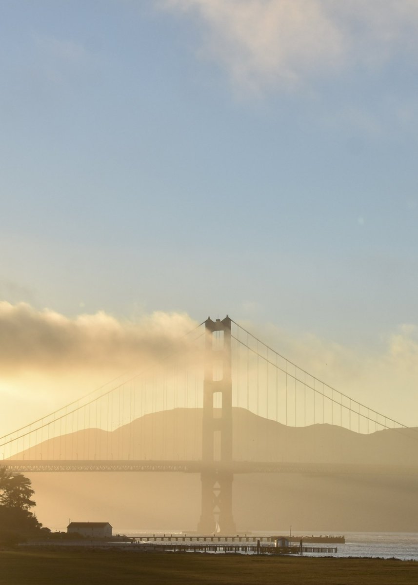 Miglu_Miglu's tweet photo. #SanFrancisco #California #sfgate https://t.co/8mfx1H4F0u