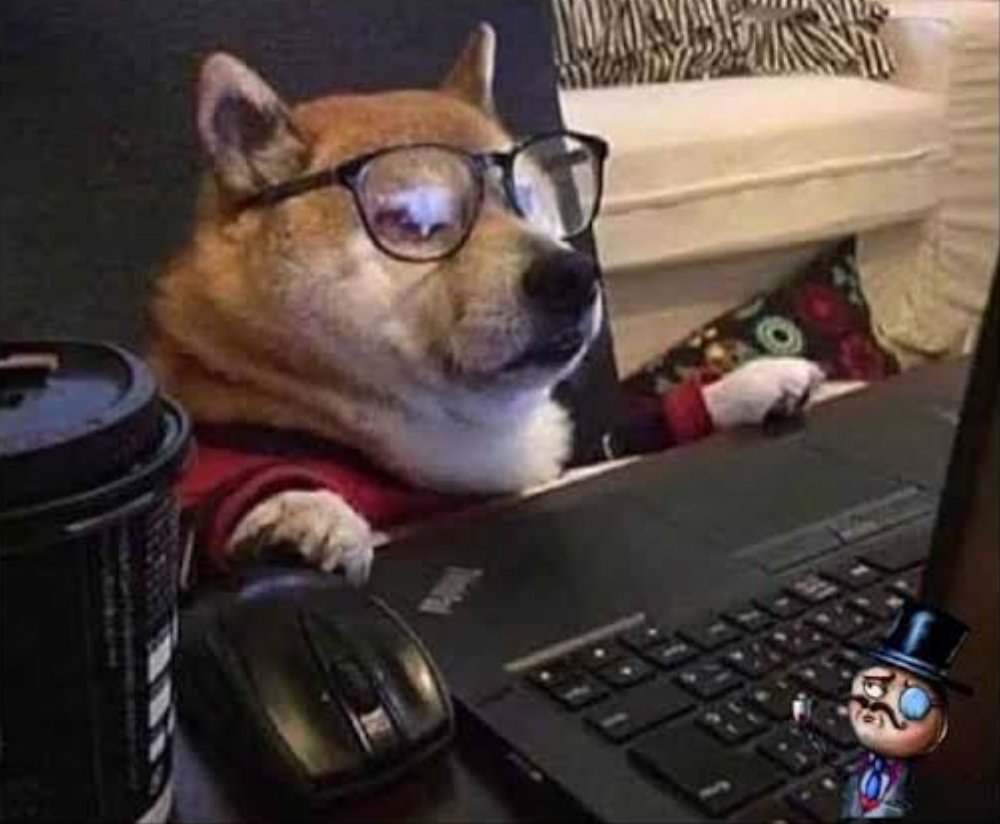 melissalegre2's tweet photo. Yo, viendo que voy a comprar en el #AmazonPrimeDay sin tener dinero. https://t.co/5foZWhaDJG