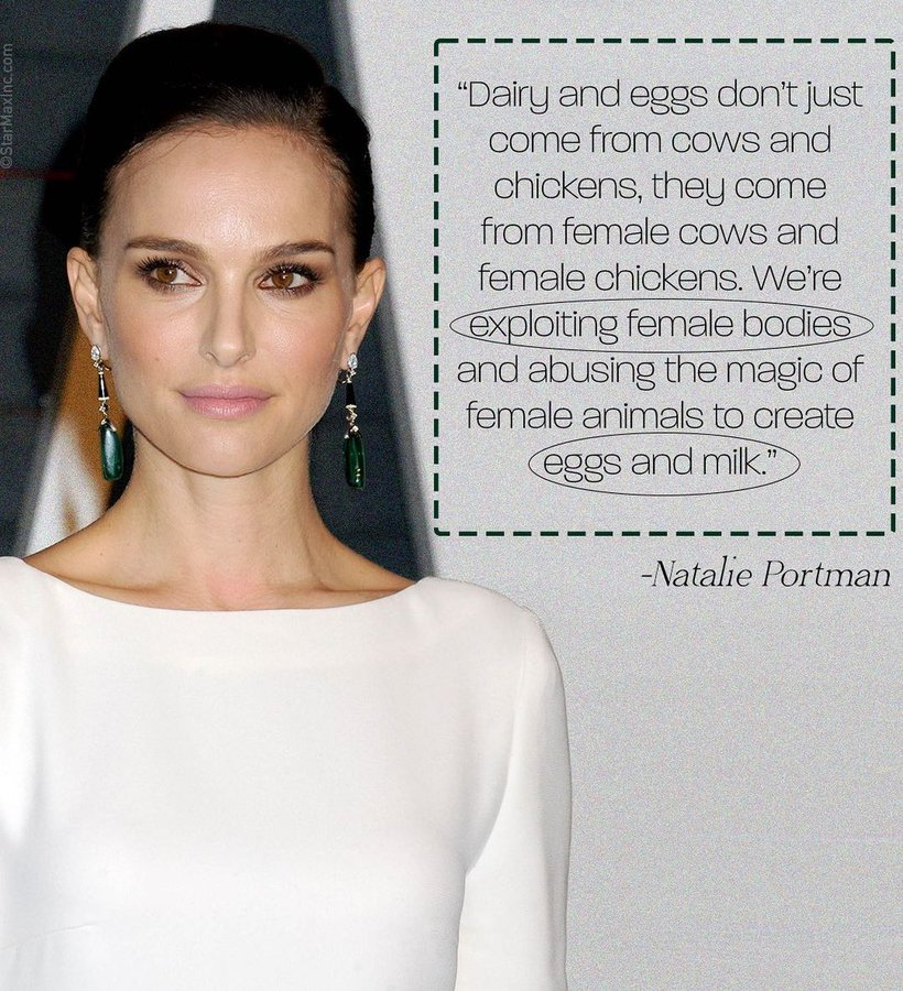 Sashkapapashka's tweet photo. You can't be a feminist without embracing veganism. Beautiful statement from beautiful Natalie.
#veganism #feminism https://t.co/dwNTKofsTF