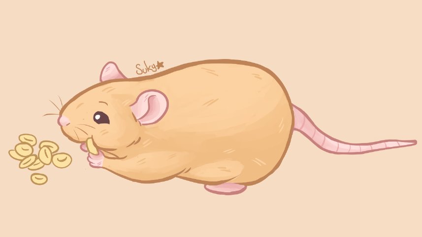 Sukiyama's tweet photo. The only brand that really cares about your rattos ~
#ratmeme #rat #cuteart https://t.co/gpkCKHAG0B