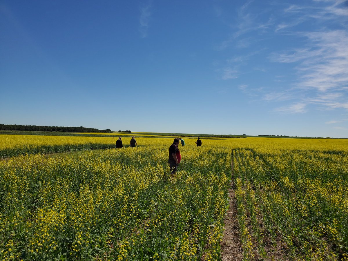 Battle River Research Group tweet media